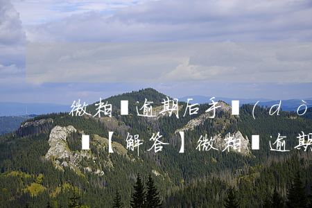 微粒貸逾期后手動(dòng)還款有影響嗎，【解答】微粒貸逾期后手動(dòng)還款會(huì)有何影響？